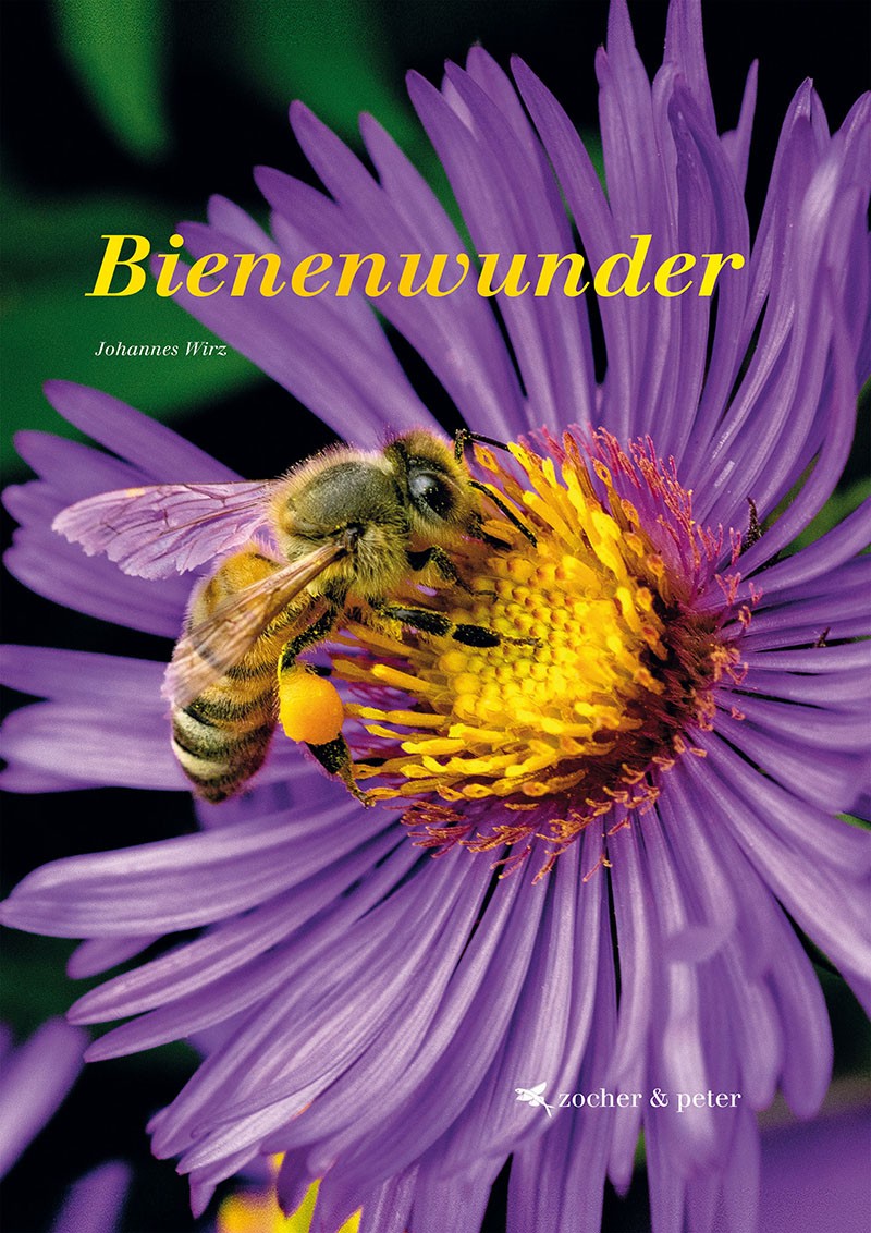 Bienenwunder